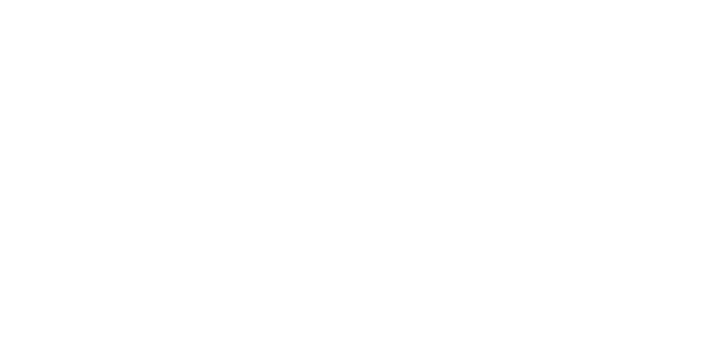 brand - dell partner