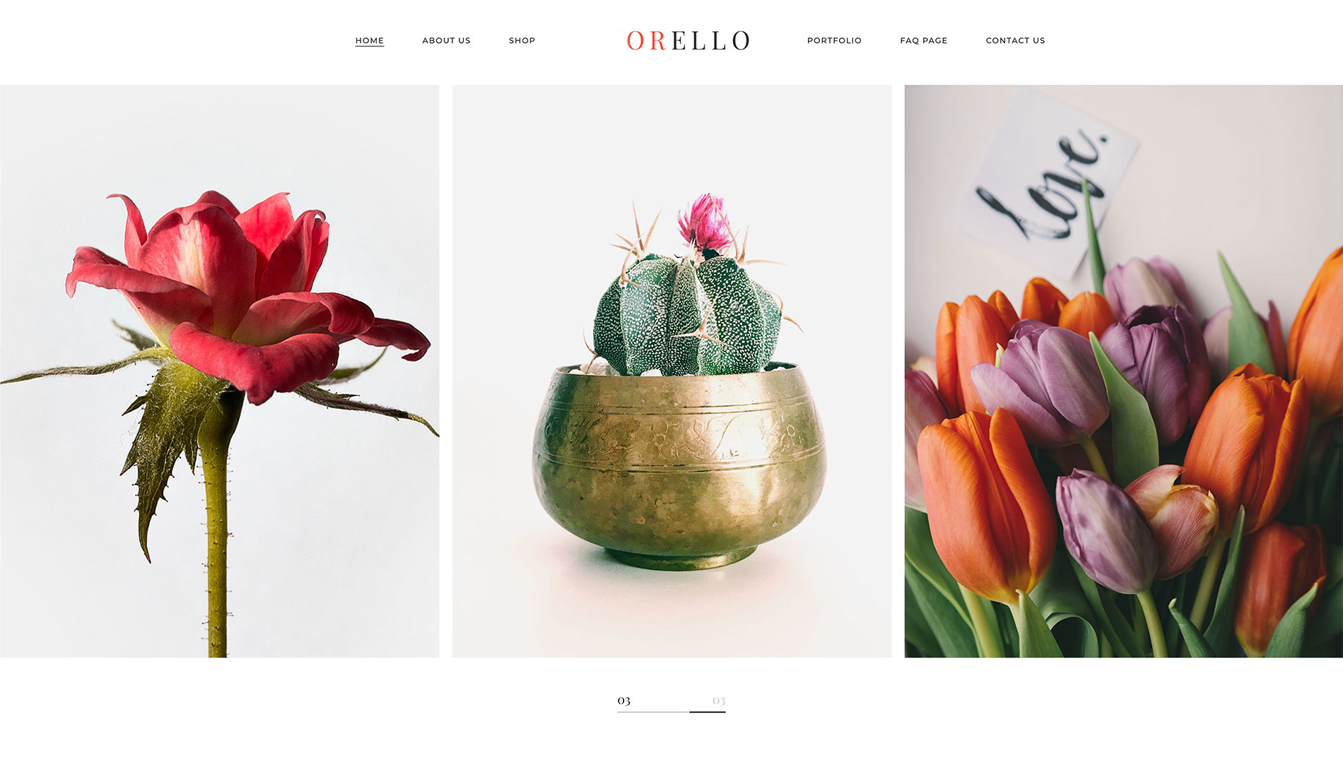 Domains - website template woocommerce