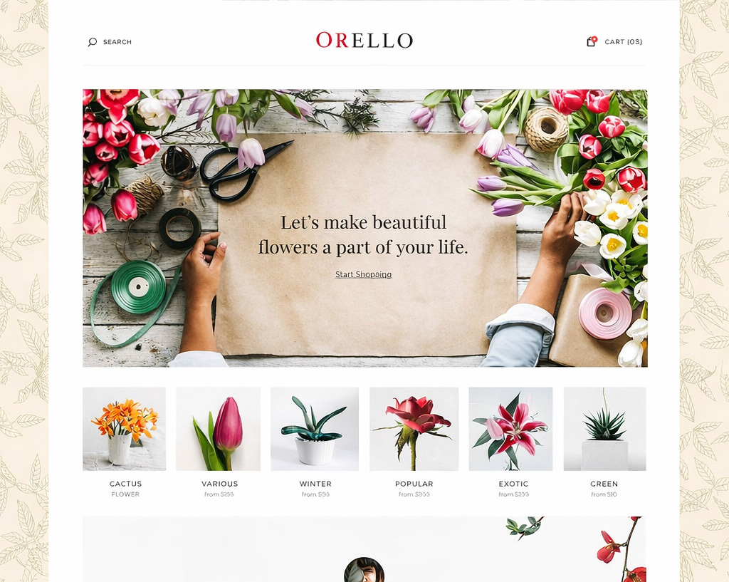 SSL Certifcates - Webshop business ssl certificate