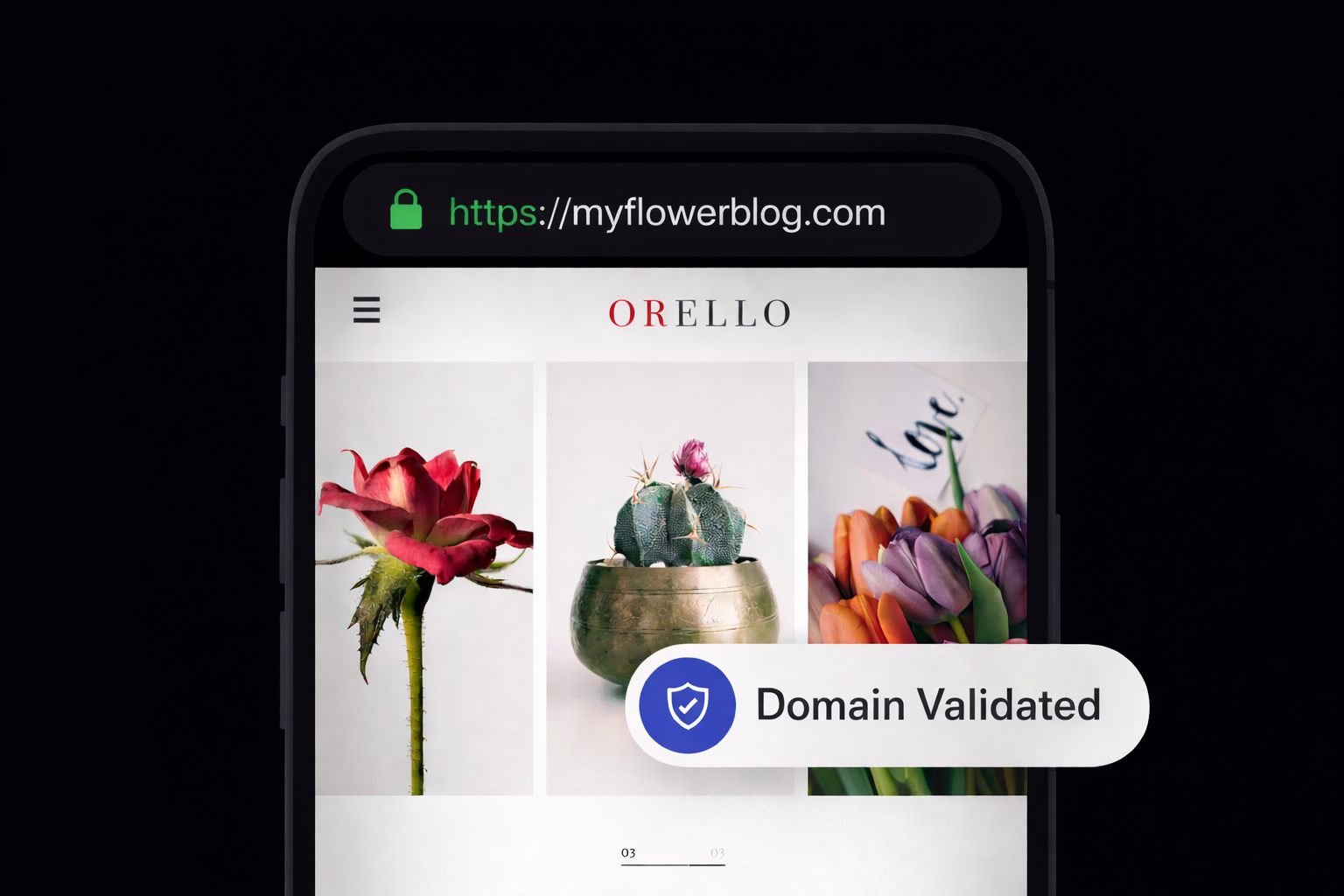 SSL Certifcates - DV SSL hero