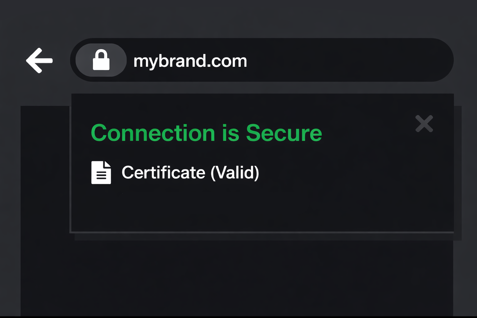 ssl dv business websites