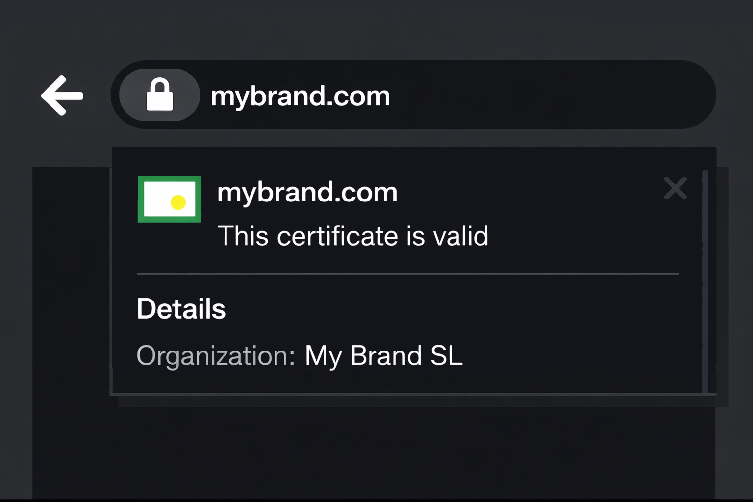 ssl ev business websites