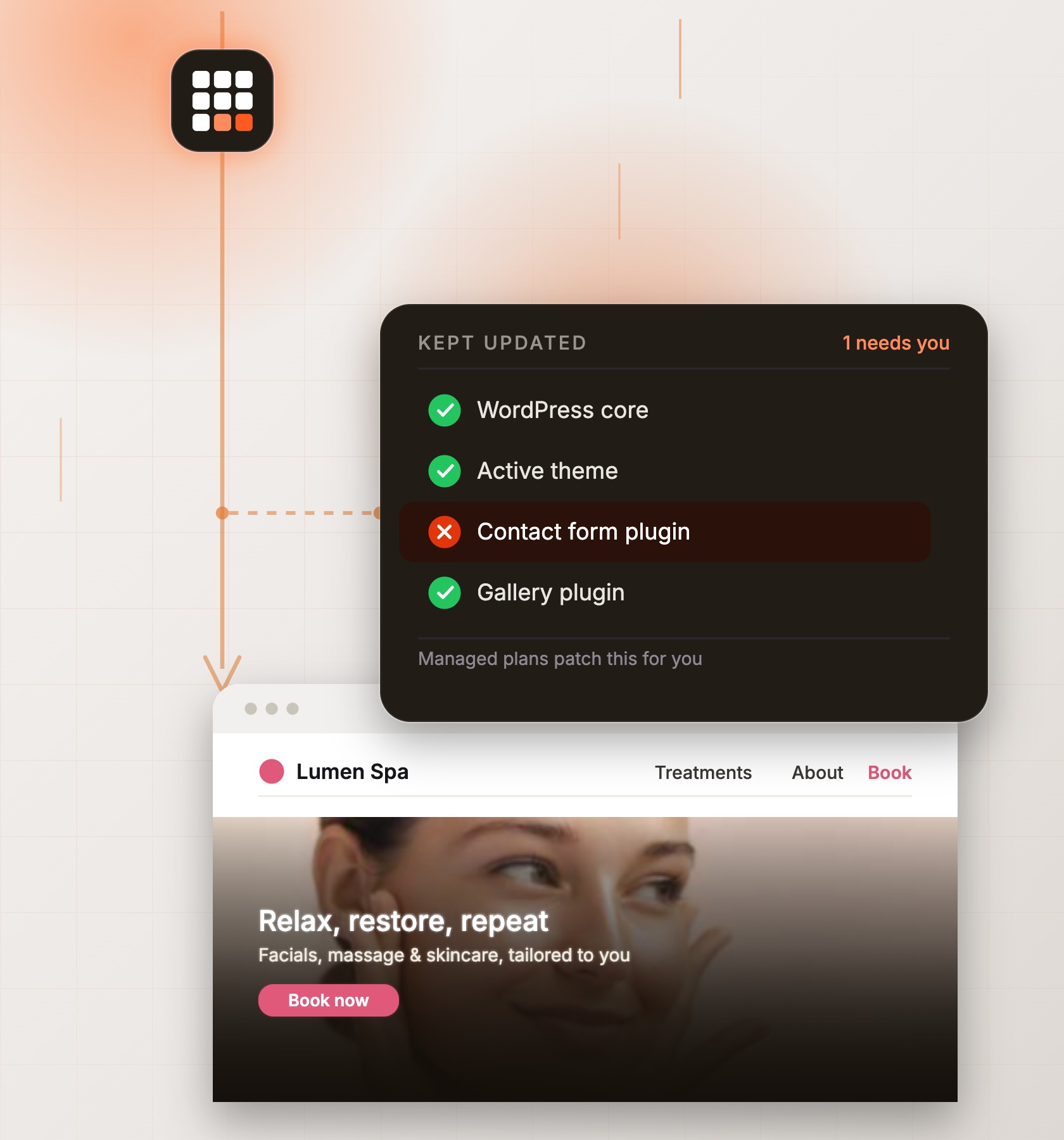 Your site, themes and plugins
