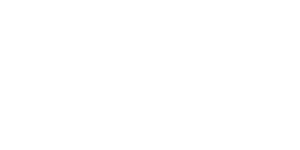 brand - dell partner
