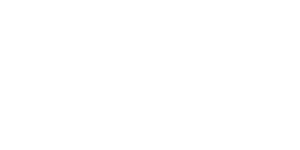 brand - hewlett packard partner