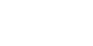 brand - intel partner