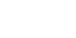 brand - litespeed partner